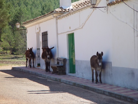 Kleines Dorf in Spanien - Little village in Spain